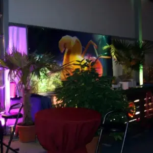 Bacardi Theke Veranstaltungstechnik von Biermann.de